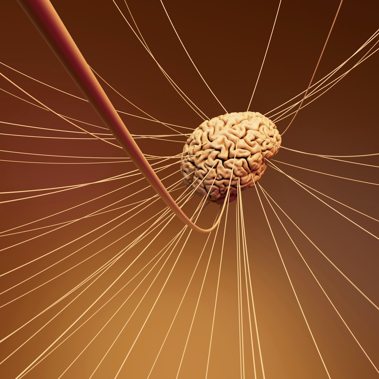 The Role of Epigenetics in Personal Development